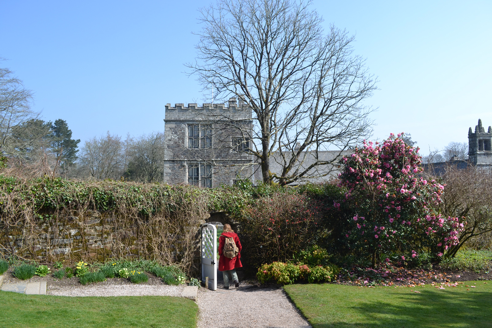 Cotehele