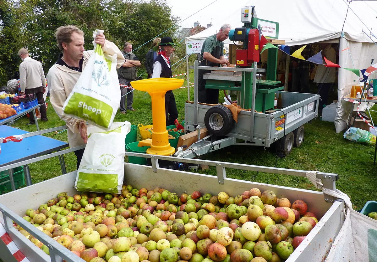 Bere Apple Fest
