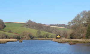 Looe Valley Line in winter