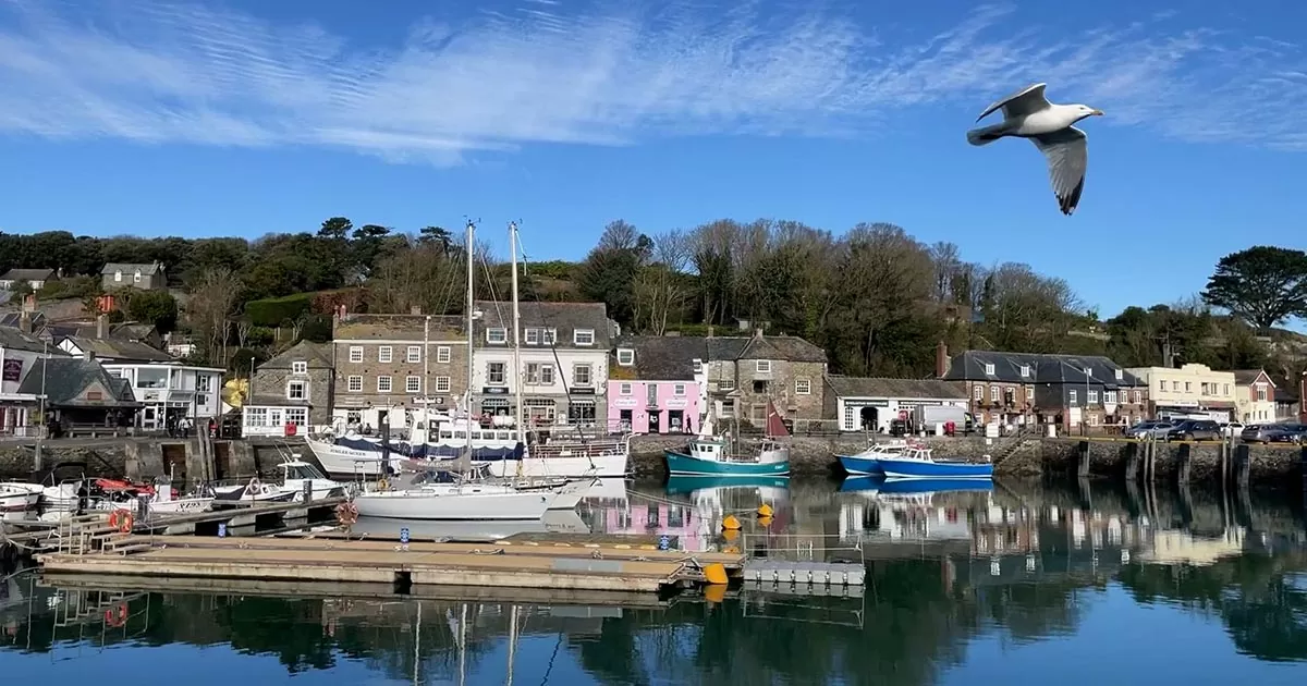 Padstow harbour with seagull overhead