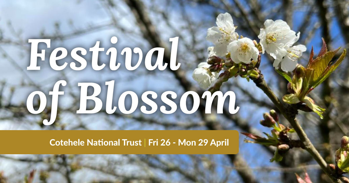 Festival of Blossom