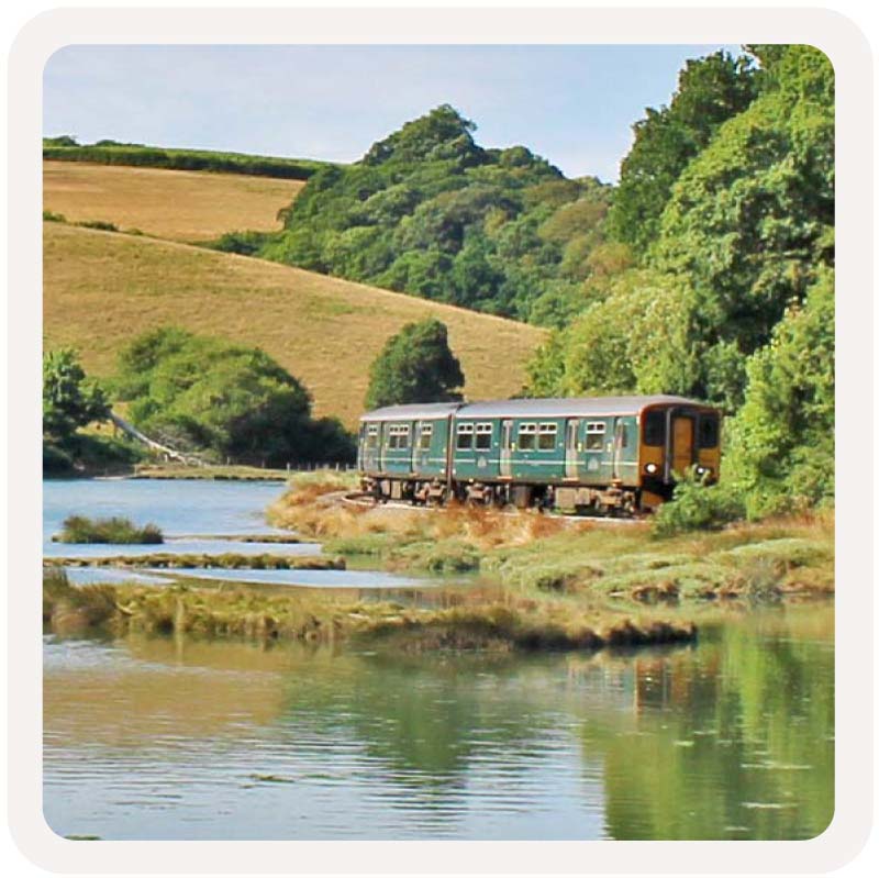 Train on Looe Valley Line