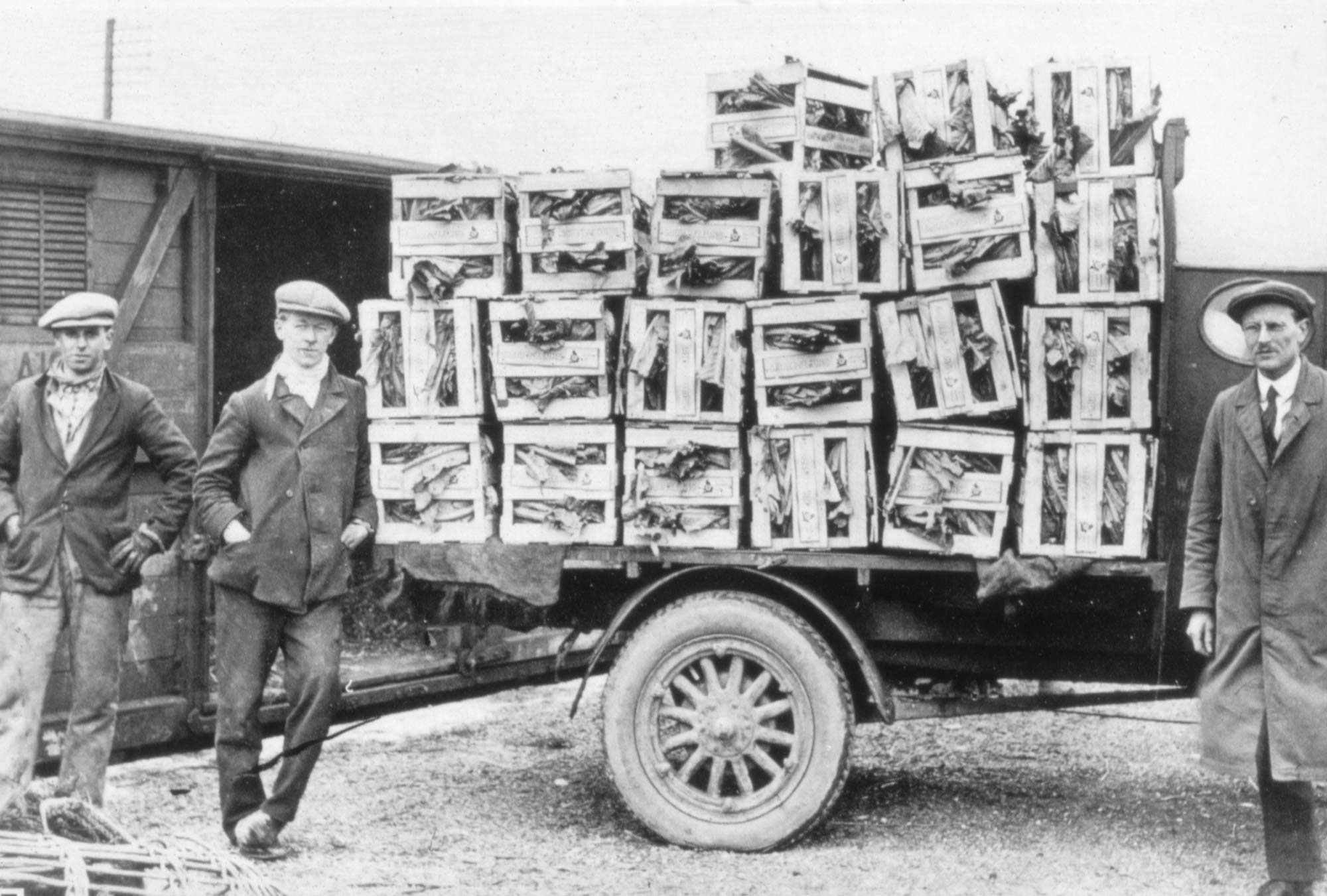 cornish-broccoli-large-courtesy-of-STEAM-Museum-Of-The-GWR Workers stood next to crates of packed produce on a trailer