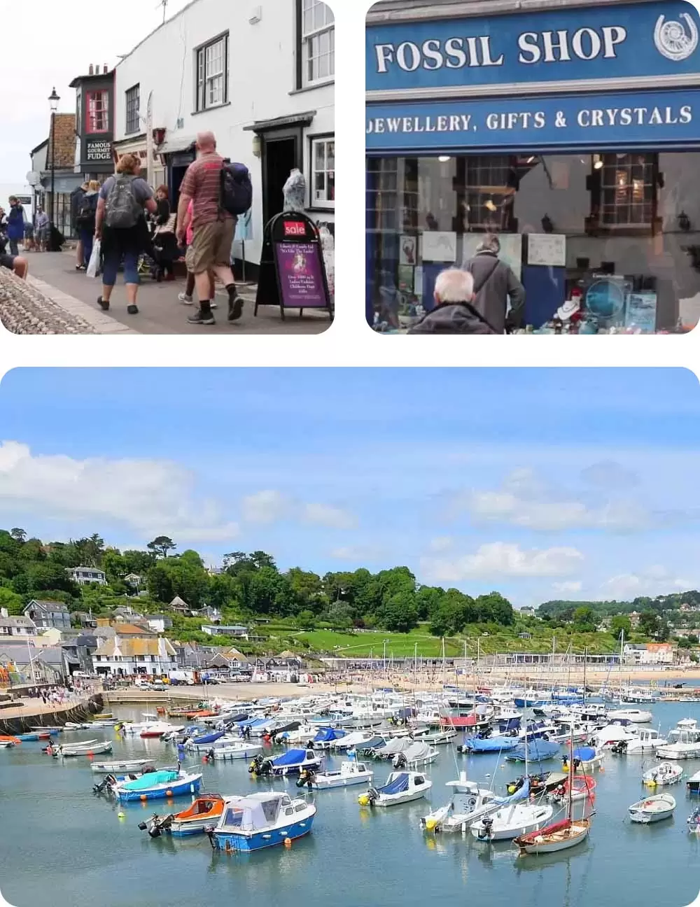 lyme-regis-collage-rounded Lyme Regis collage