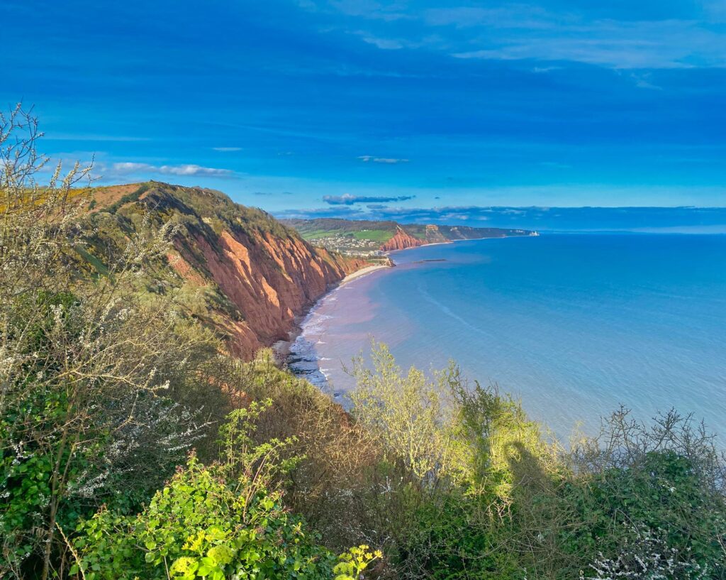 Sidmouth coastline