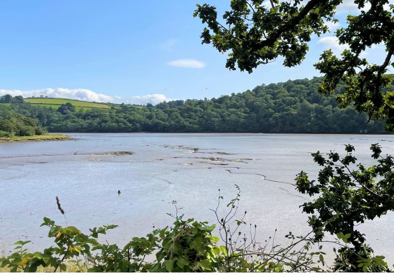 View of River Tavy